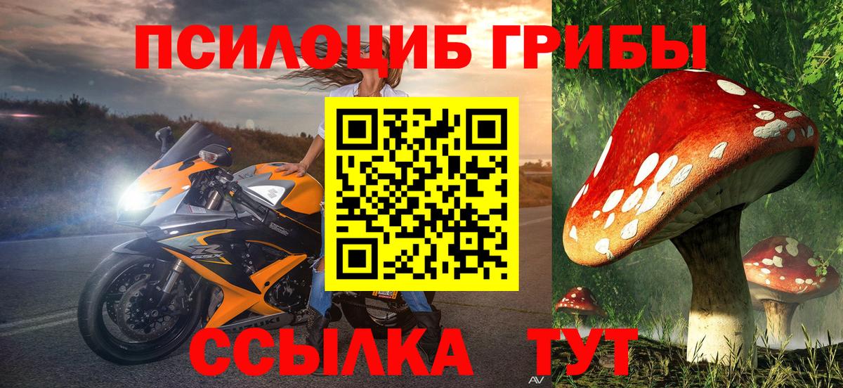 Псилоцибиновые грибы Psilocybe Белово