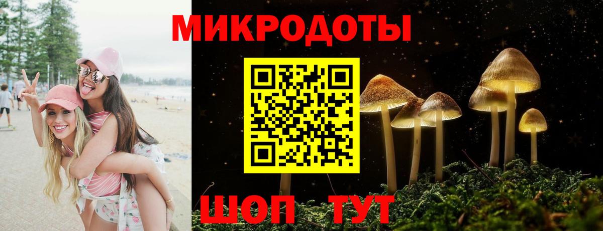 Галлюциногенные грибы Psilocybine cubensis  Вход с VPN  Белово 